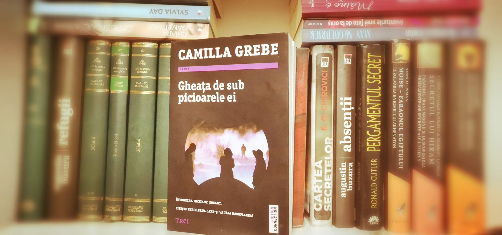 Gheața de sub picioarele ei de Camilla Grebe, Editura TREI – recenzie
